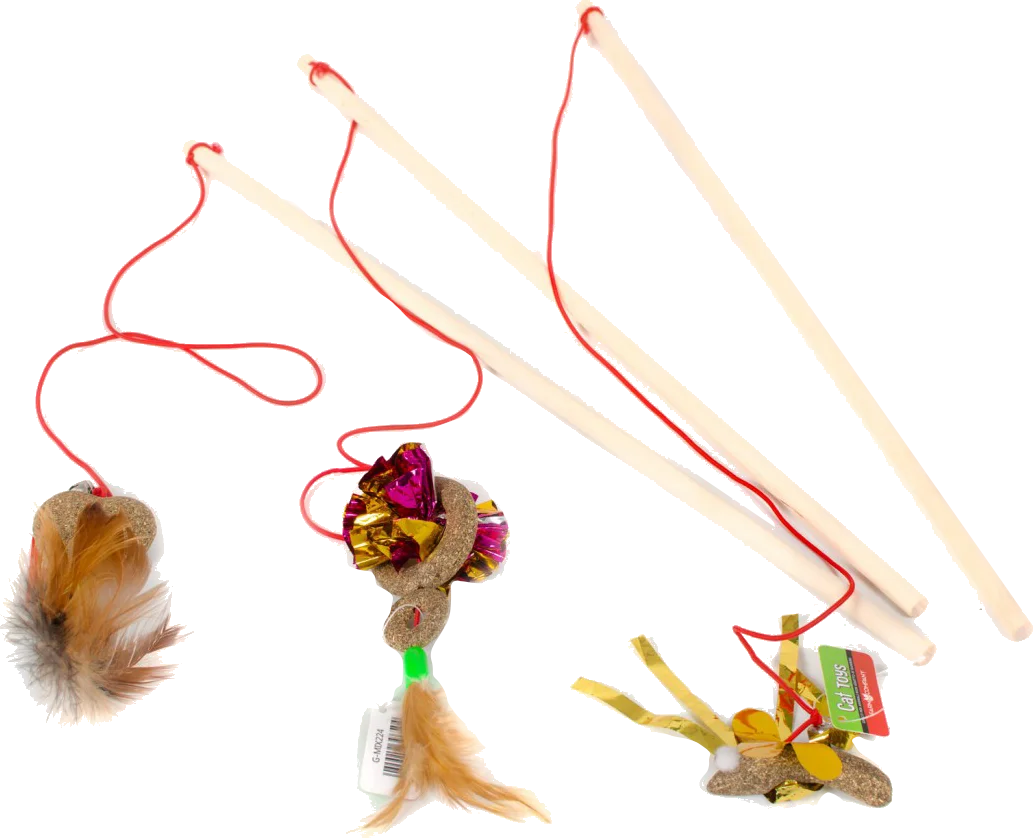 Παιχνιδάκι Γάτας teasers με φτερό και Μαγιοβότανο 3