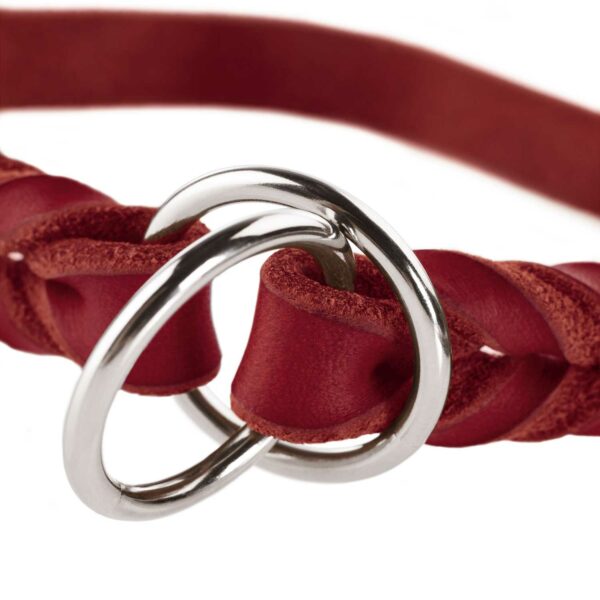 Hunter Training Leather Red Collar Solid Education 3