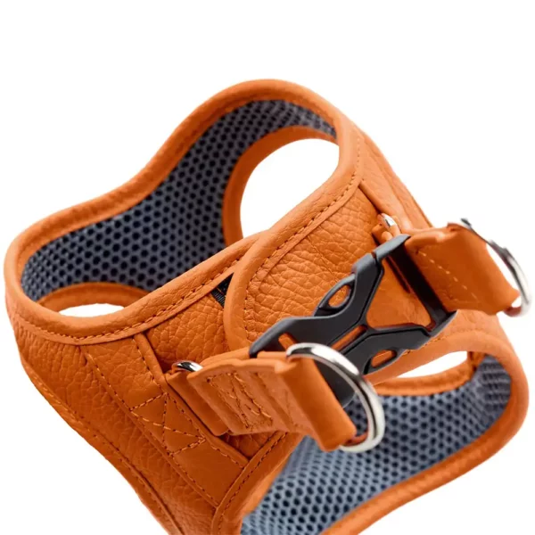 Hunter-Leather-Harness-Easy-Step_In-Hilo-orange1