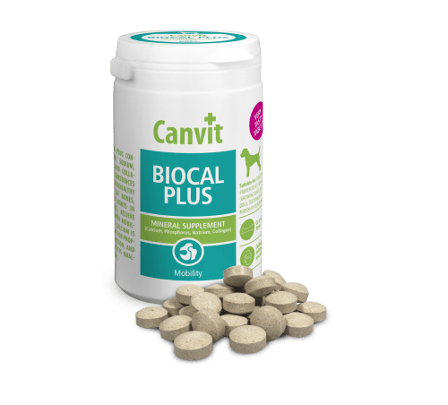 Canvit Dog Biocal Plus