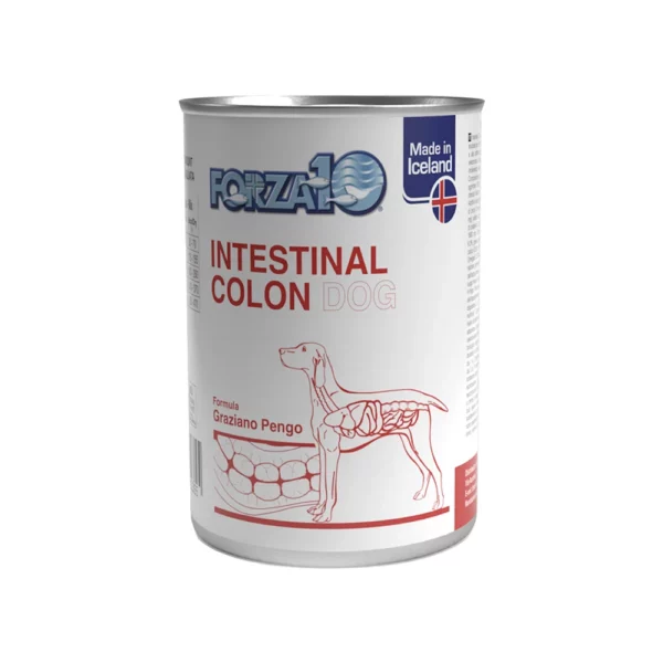 FORZA10 Intestinal Colon