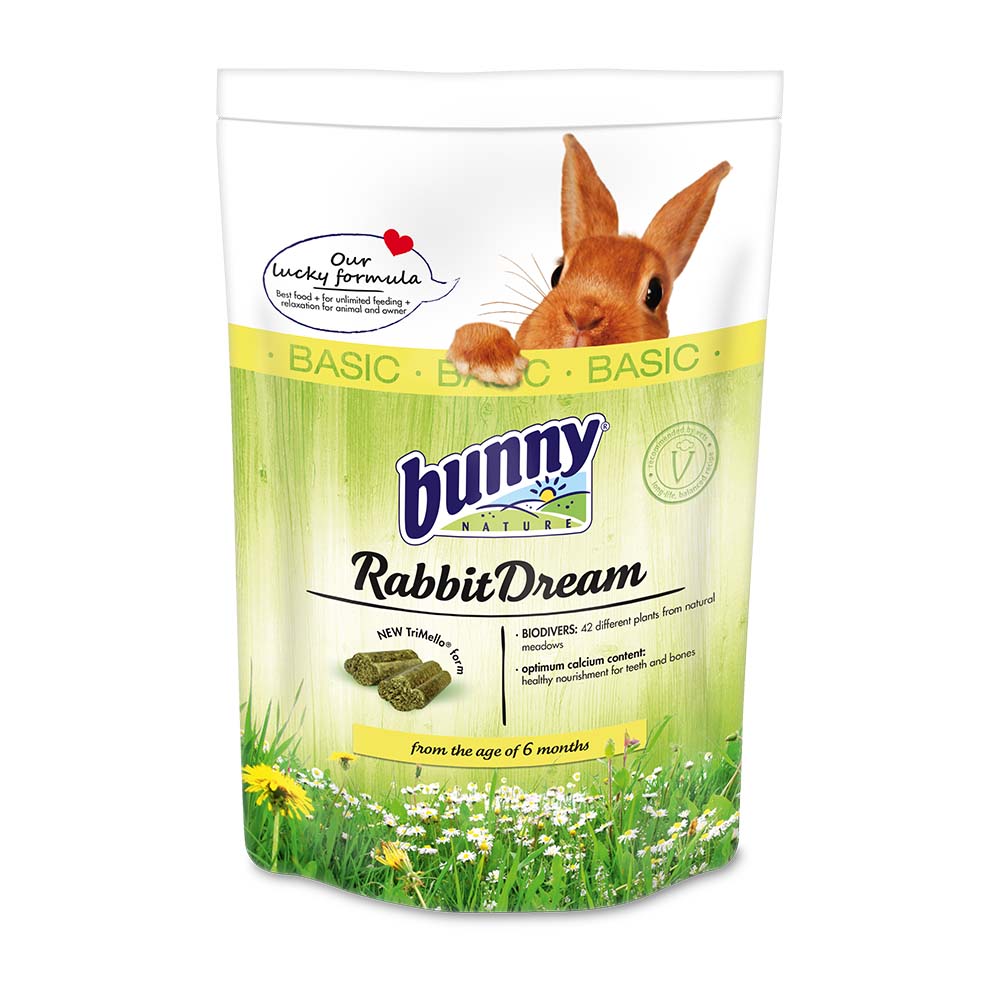 Rabbit Dream Basic Bunny Nature
