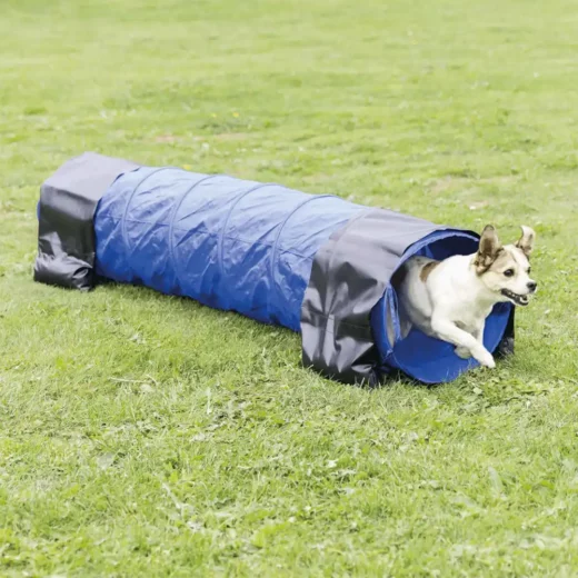 Trixie Agility Εκπαιδευτικό Τούνελ2